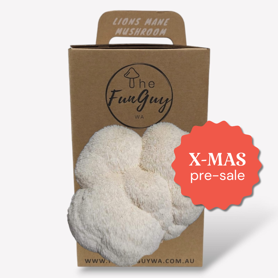 Mushroom Grow Kit - Christmas Pre-Sale