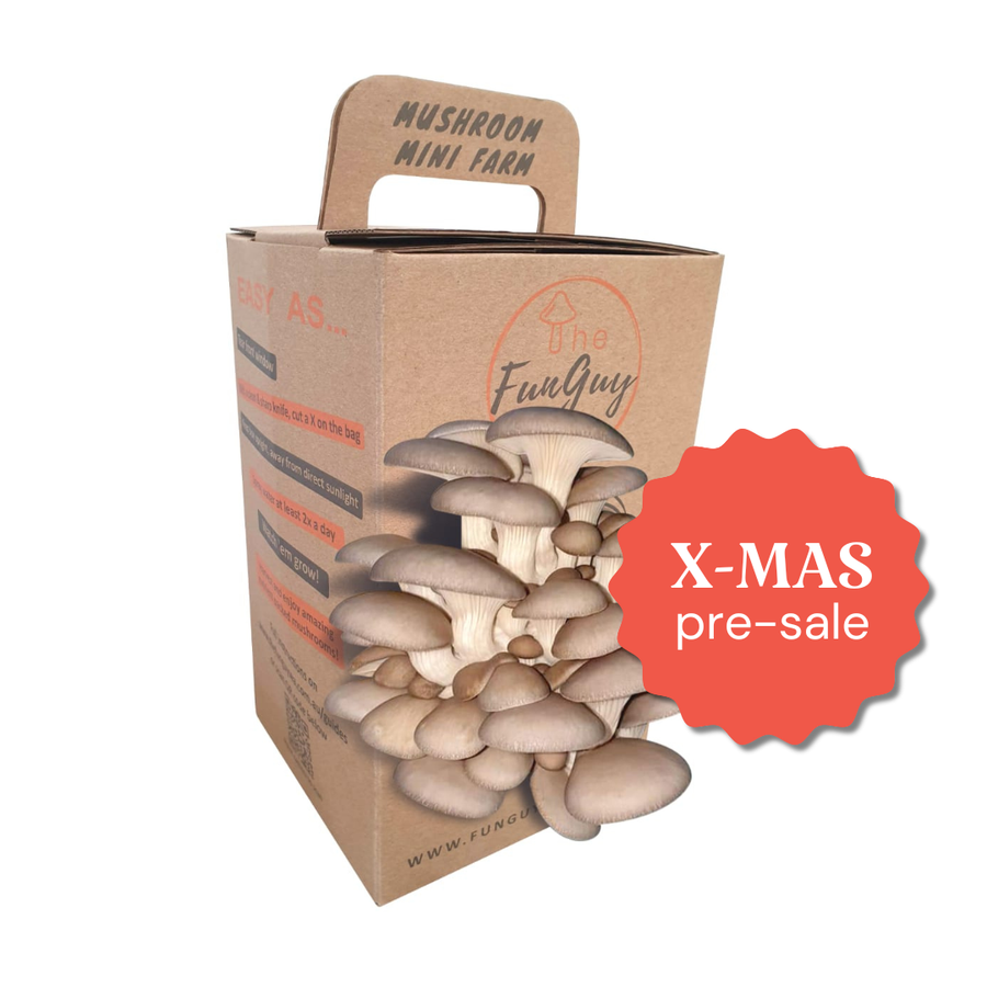 Mushroom Grow Kit - Christmas Pre-Sale
