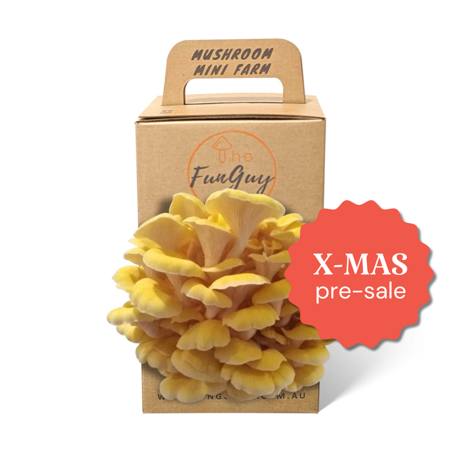Mushroom Grow Kit - Christmas Pre-Sale