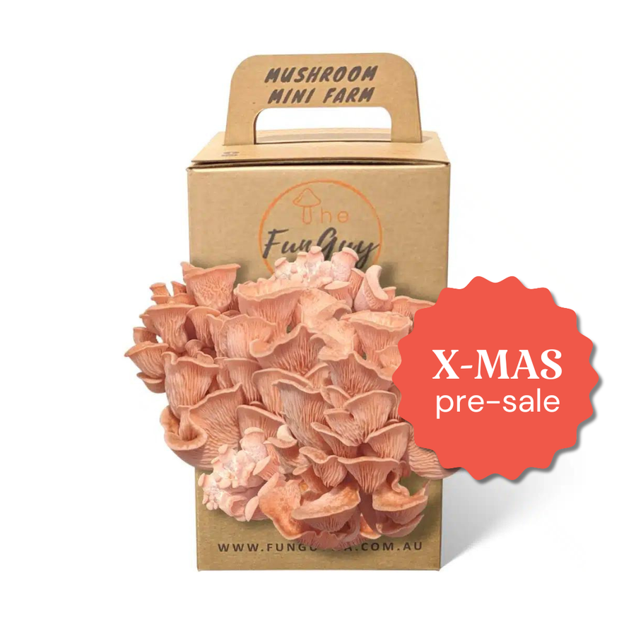Mushroom Grow Kit - Christmas Pre-Sale