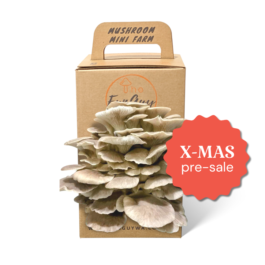 Mushroom Grow Kit - Christmas Pre-Sale