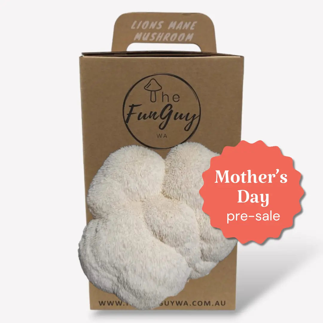 Mushroom Grow Kit