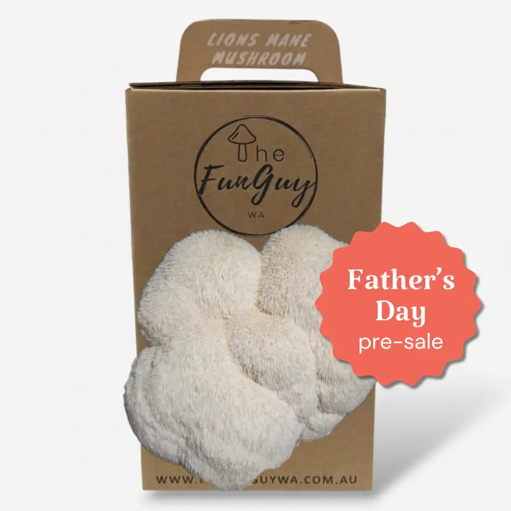 Mushroom Grow Kit - Father's Day Pre-Sale