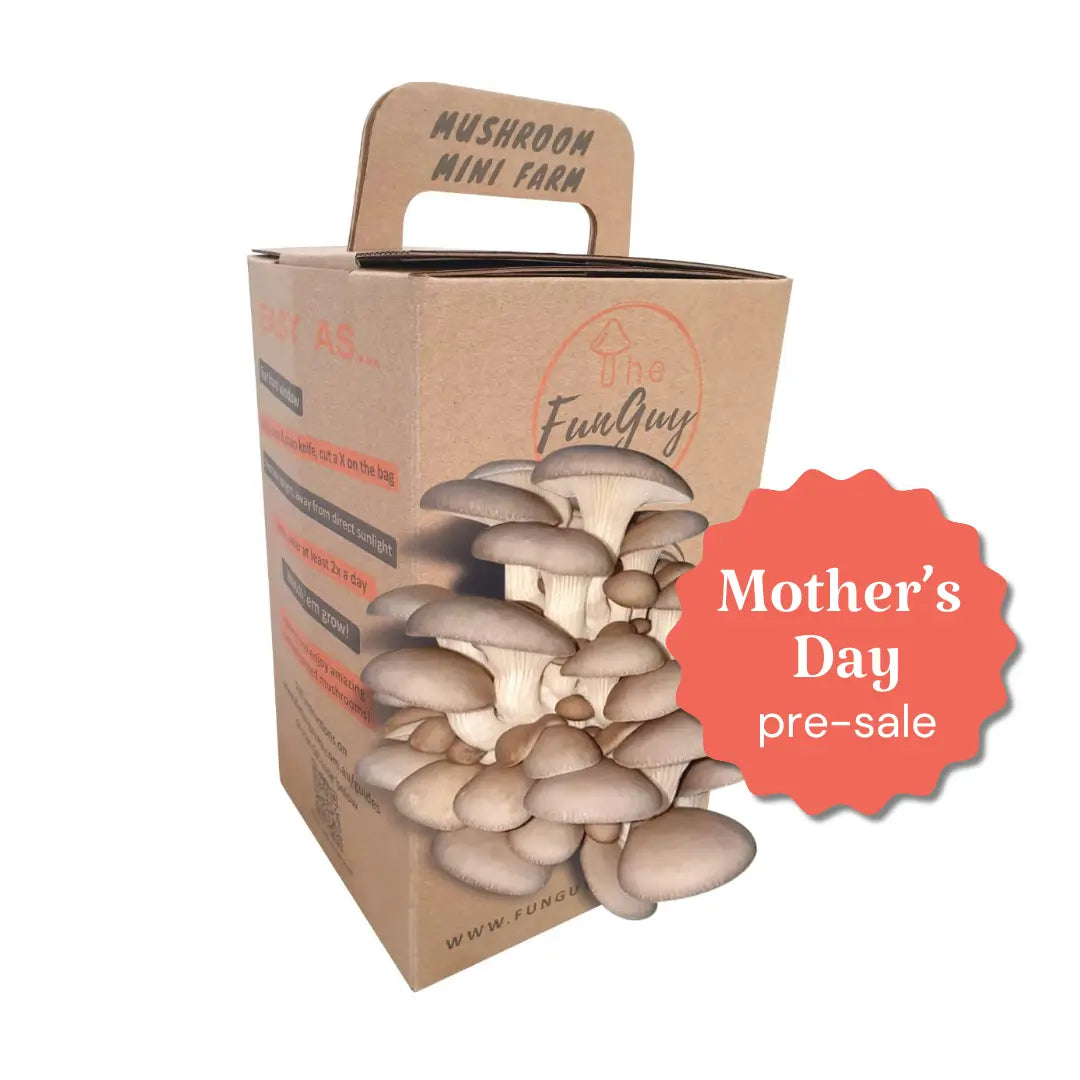 Mushroom Grow Kit