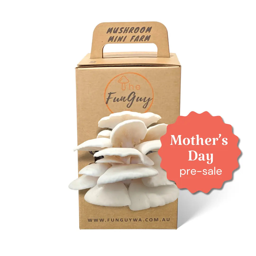 Mushroom Grow Kit