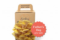 Mushroom Grow Kit - Father's Day Pre-Sale