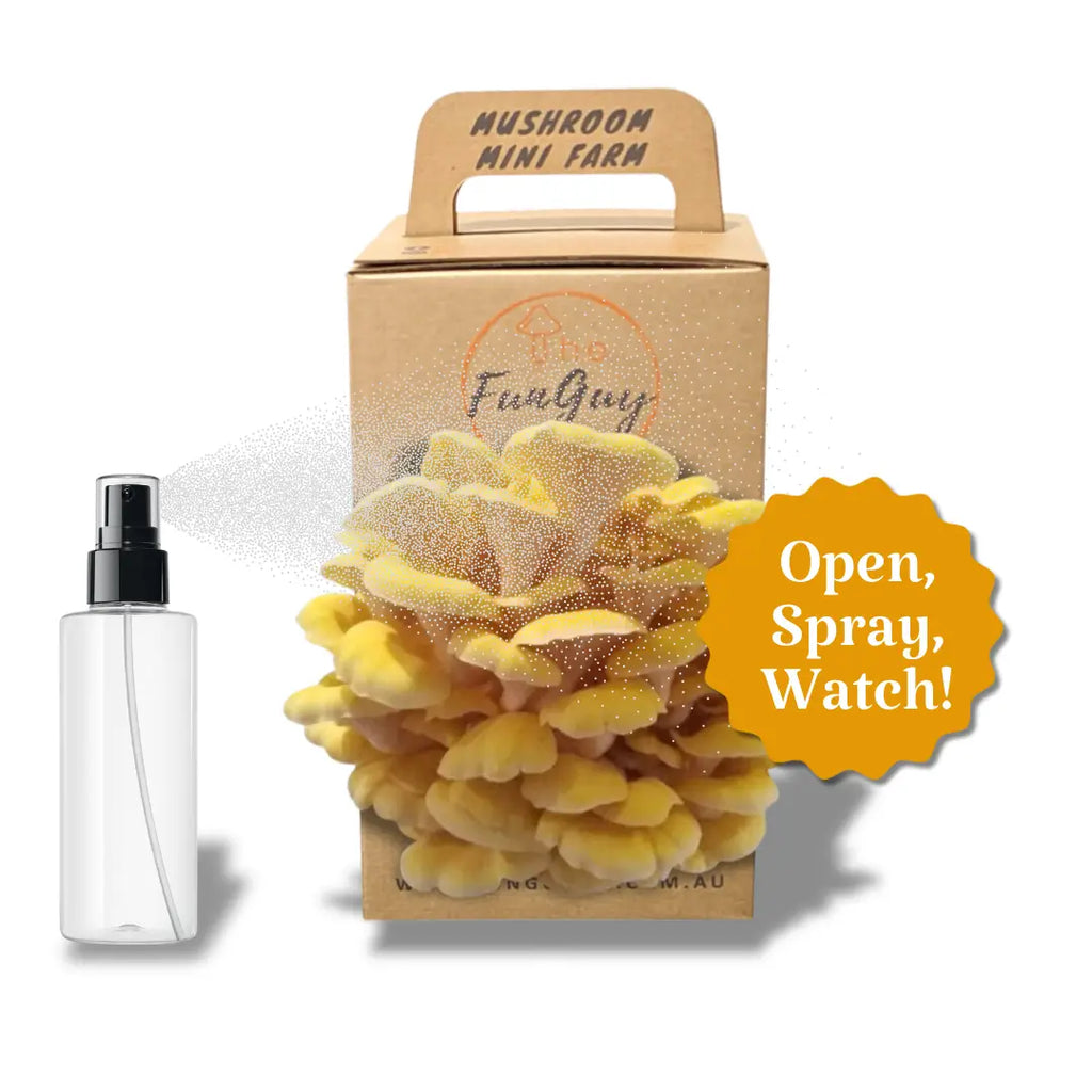 Mushroom Grow Kit