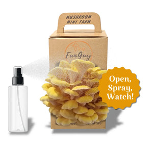 Mushroom Grow Kit
