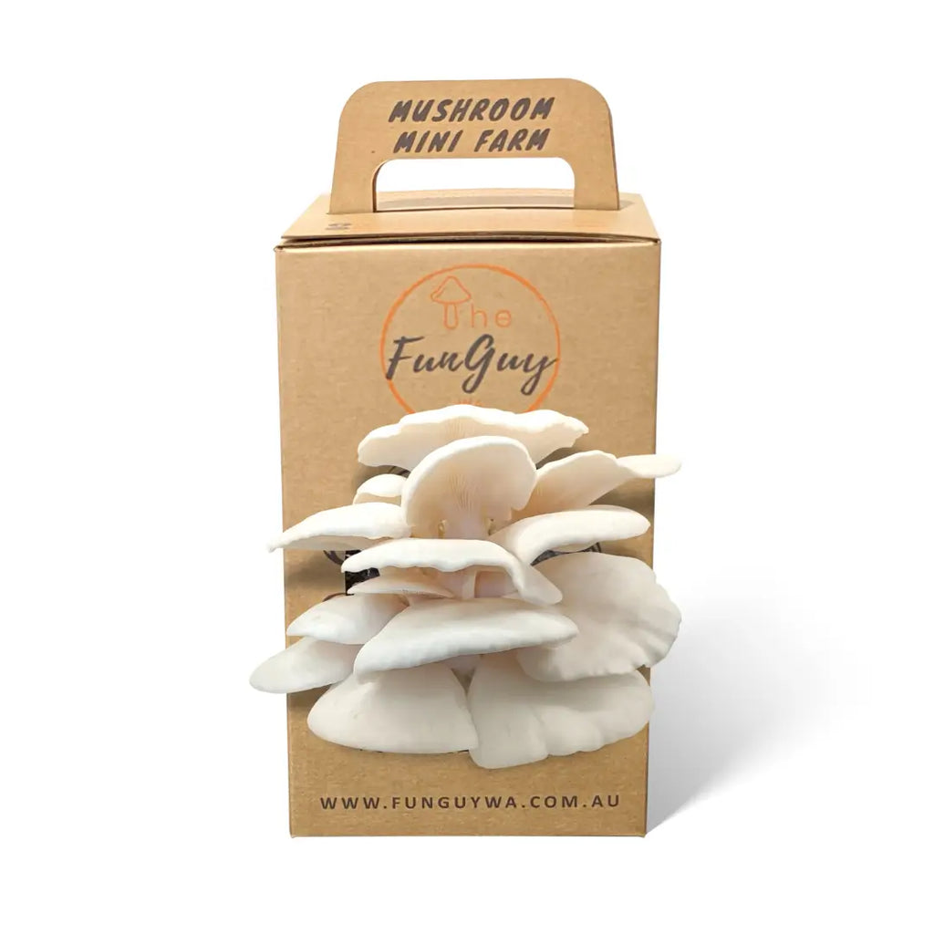 Mushroom Grow Kit