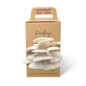 Mushroom Grow Kit
