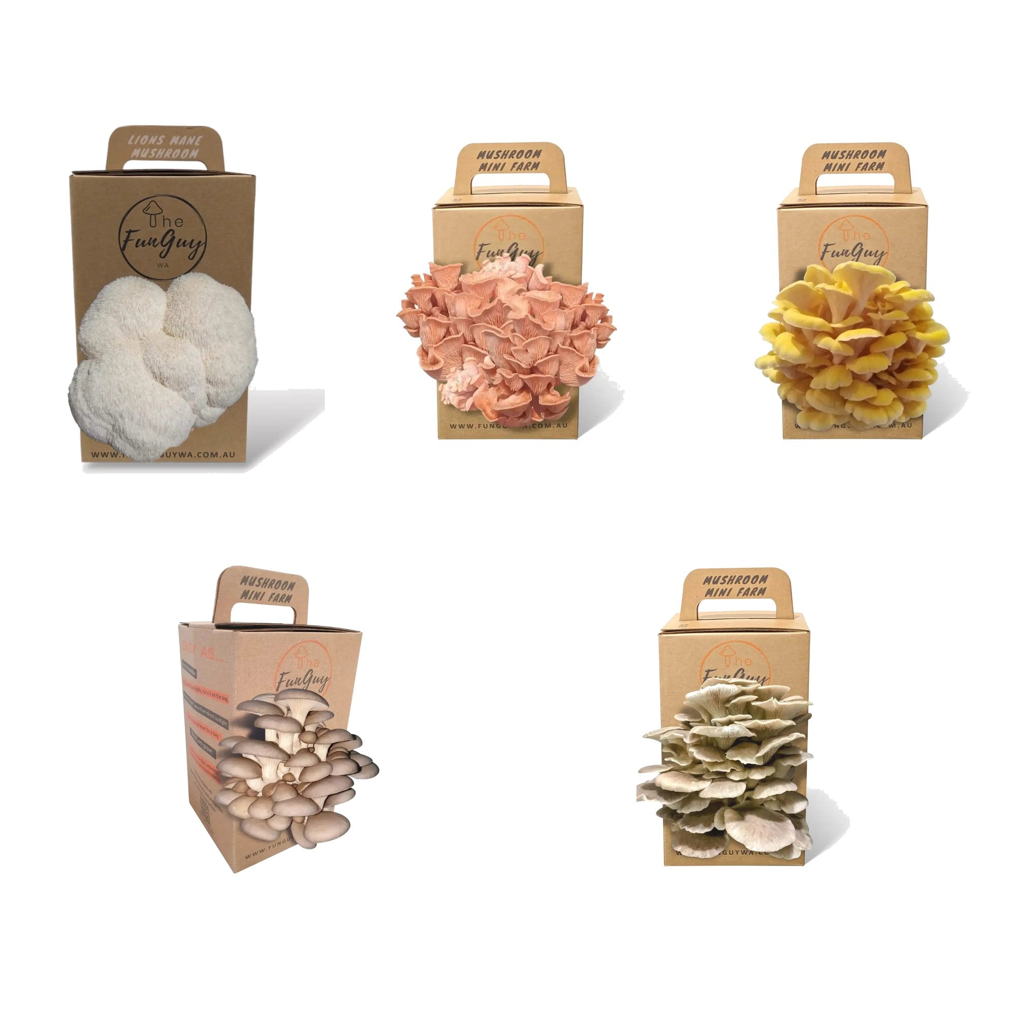 Mushroom Grow Kit