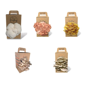 Mushroom Grow Kit